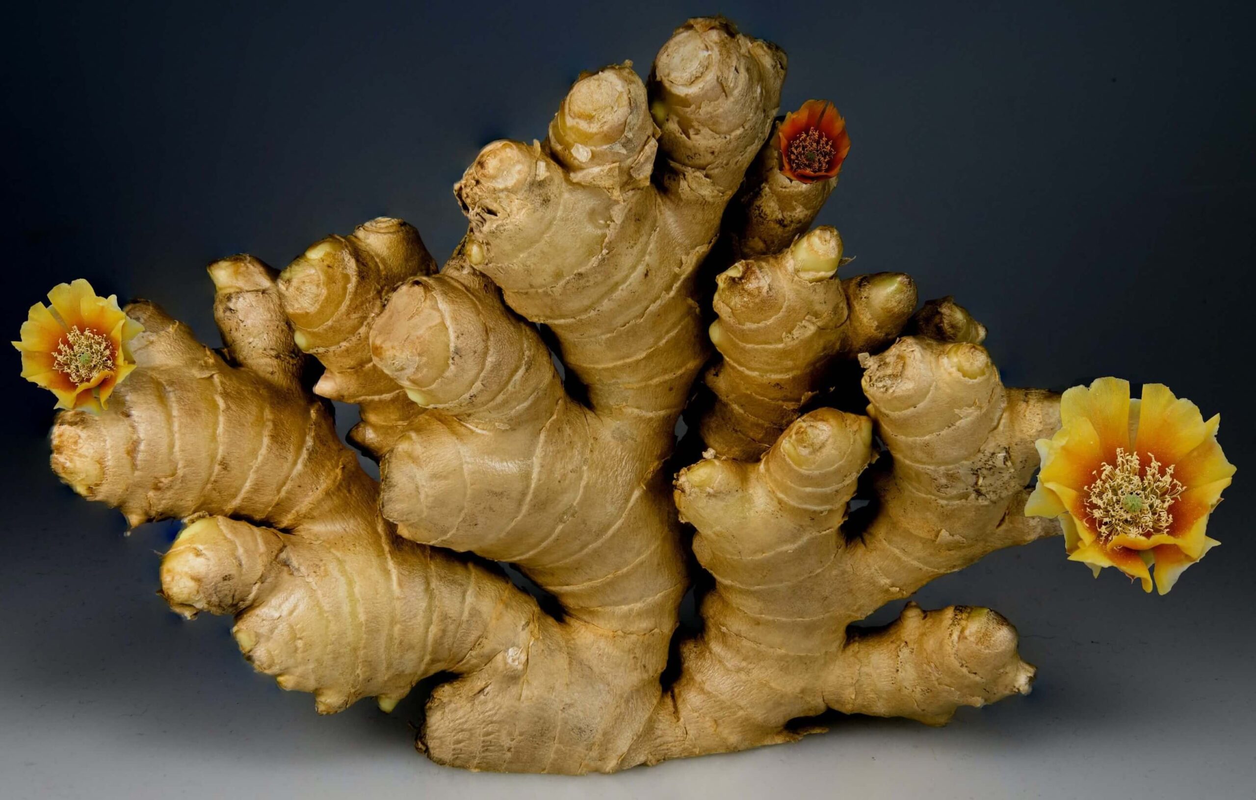 Health benefits of ginger